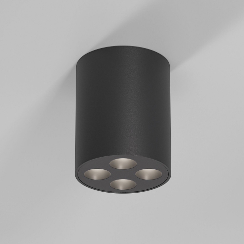 Elektrostandard 25111/LED