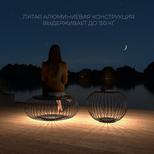 Elektrostandard 35178/S черный