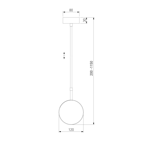 Elektrostandard 50120/1