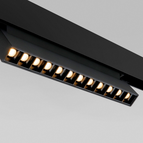 Elektrostandard 85010/01