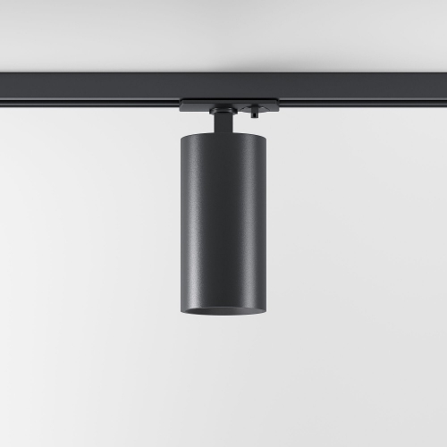 Elektrostandard 85210/01