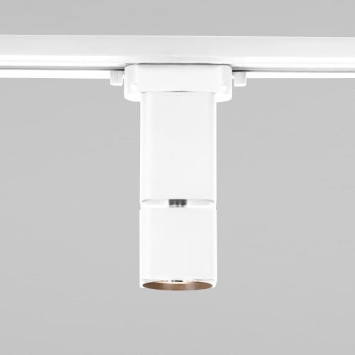 Elektrostandard 85516/01
