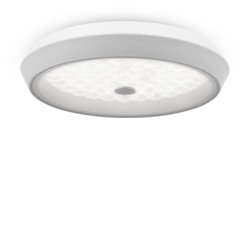 Freya FR10012CL-L24W