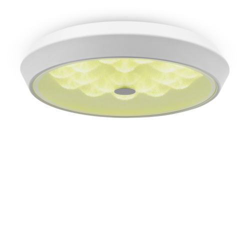 Freya FR10012CL-L24W