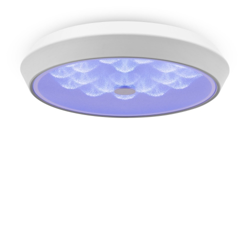 Freya FR10012CL-L24W