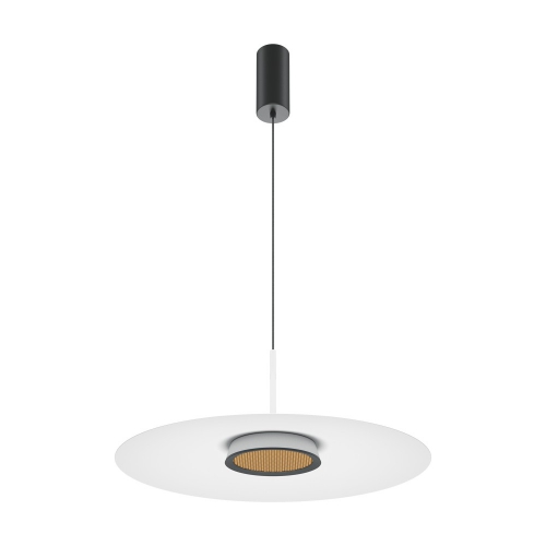 Светильник Maytoni MOD041PL-L15W3K1