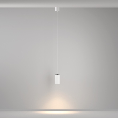 Maytoni P100PL-20W3K-W