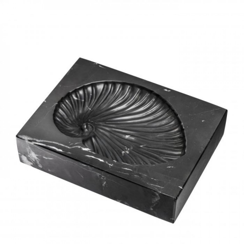 Object Conchiglia 113692