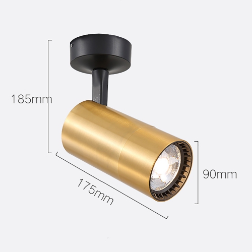 Спот Brass 9